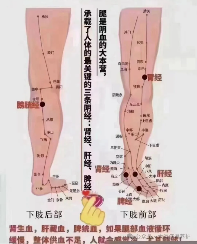 1727334464761103.png image.png