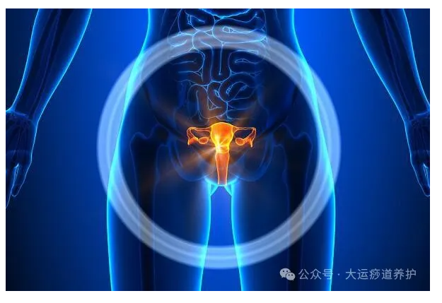 1727334493106418.png image.png