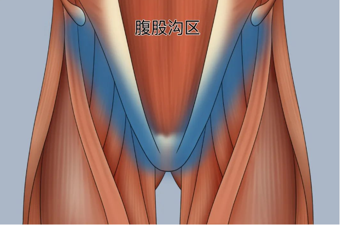 1727334573292046.png image.png