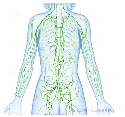 1727335207655851.png image.png