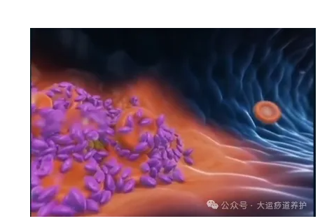 1727335234283282.png image.png