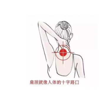 1727335714387216.png image.png