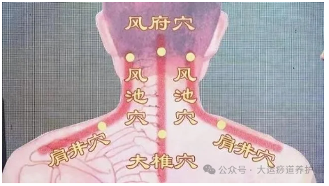 1727335779936219.png image.png