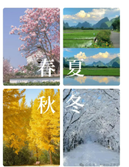 1727336432368991.png image.png