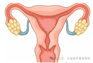 1728533631442497.png image.png