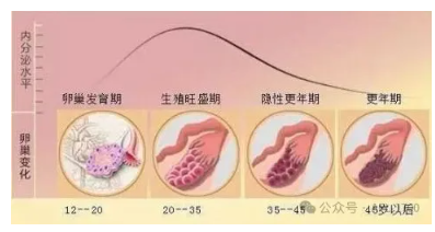 1728533647746316.png image.png