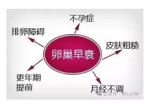 1728533675923785.png image.png