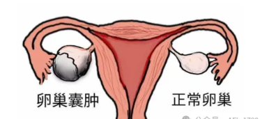 1728533688962338.png image.png