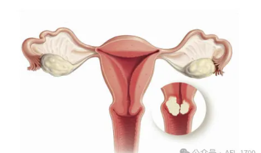 1728533714296797.png image.png