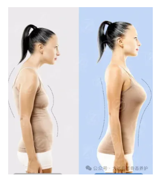 1728534872283828.png image.png