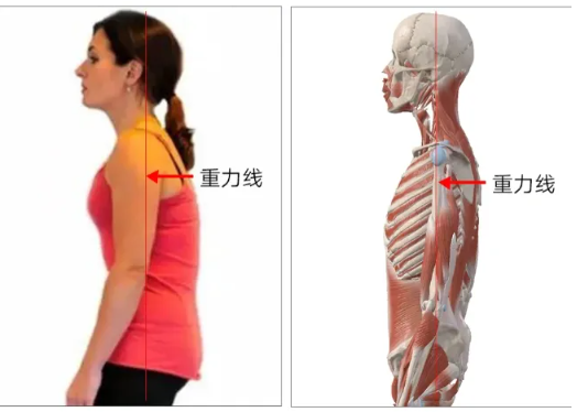 1728534891520428.png image.png