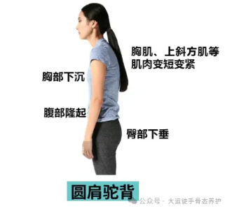 1728534925285230.png image.png