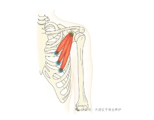 1728544542451415.png image.png