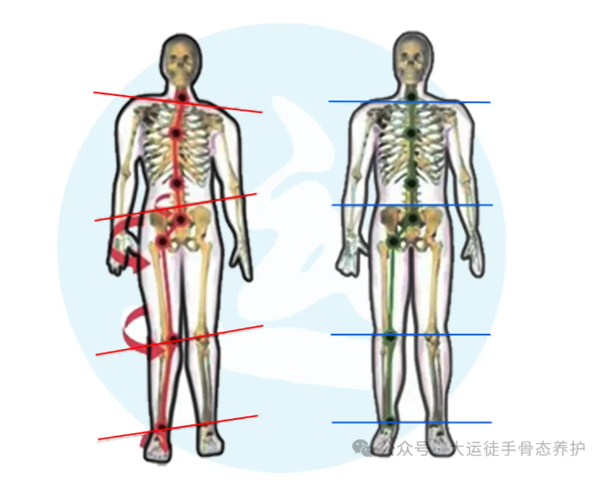 1729518875438140.png 1729518847354.png