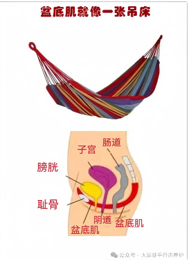 1732093700523783.png image.png