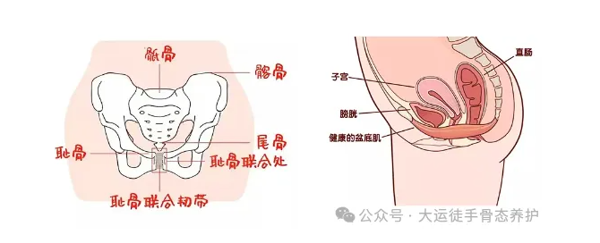 1732093719892290.png image.png