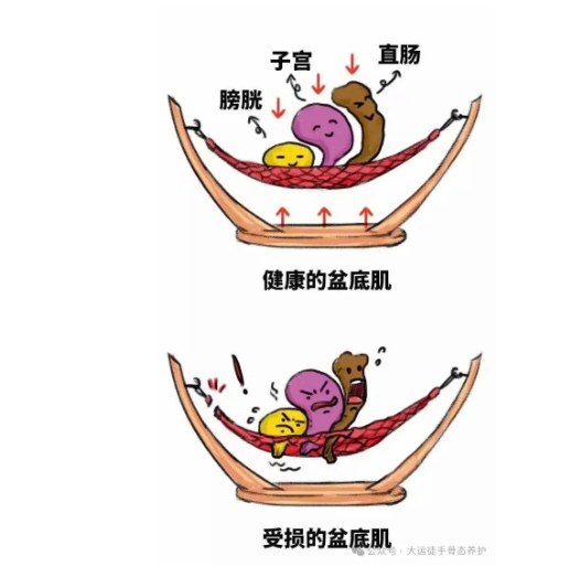 1732093753508297.png image.png