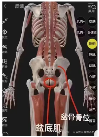 1732111328743398.png 1732111316699.png