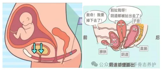 1732111402859538.png 1732111342368.png