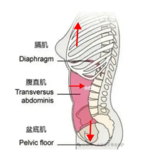 1732111479518181.png image.png