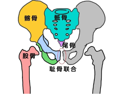 1732154434439666.png image.png