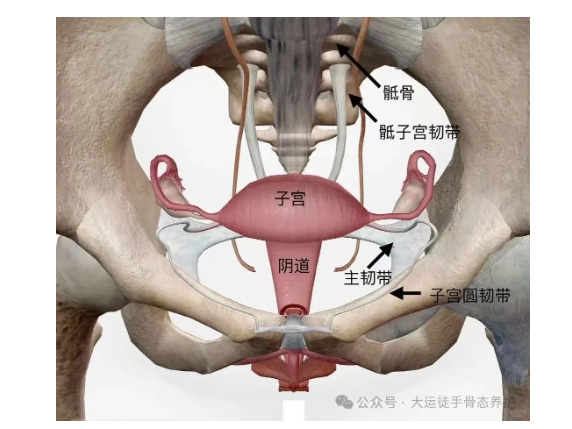 1732154573849323.png image.png