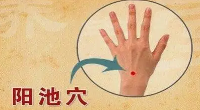 1743320502443513.png image.png