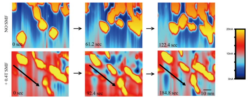 ʹ�û�ʹ��0.4 T SMF��EGFR��ʱL-STMͼ��.png