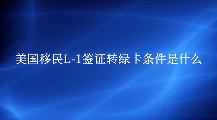 L-1ǩ֤ת̿ʲô
