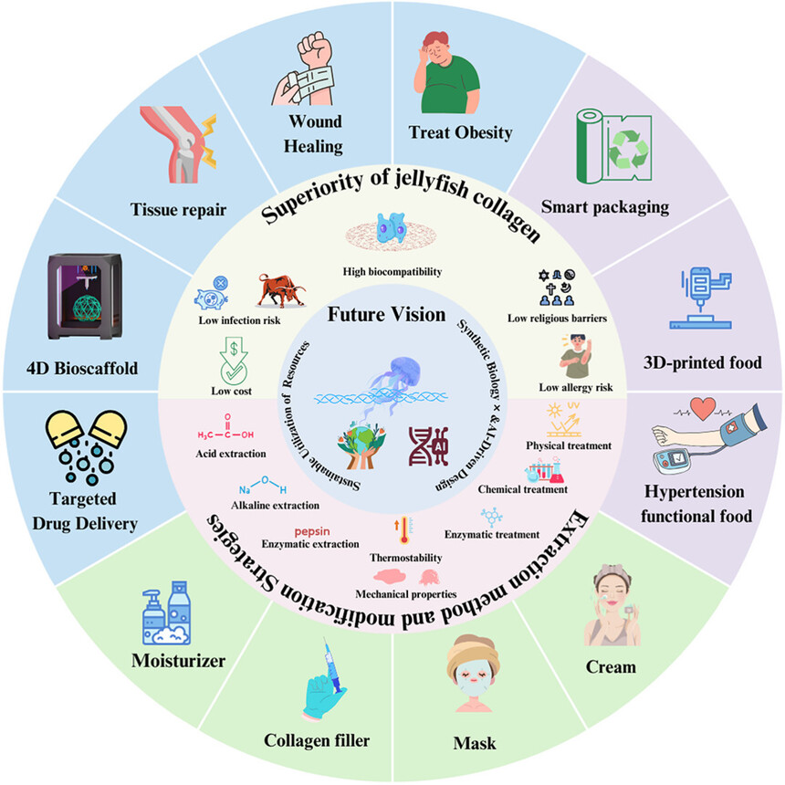 1761388318595840.jpg 1-s2.0-S2772502225004706-ga1_lrg.jpg