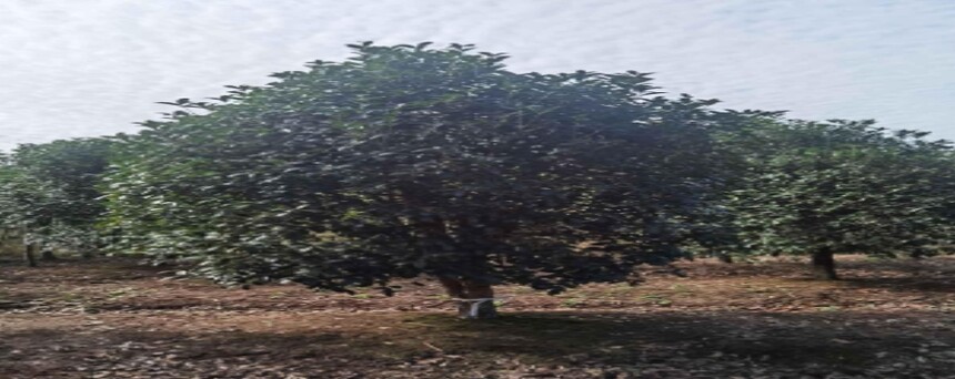 ΢Žͼ_20250226150143.jpg