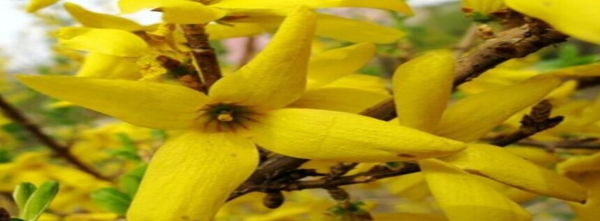 1750924497557304.jpg 微信截图_20250626155421.jpg