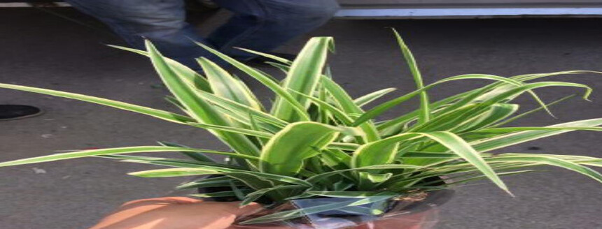 1755671986191047.jpg wechat_2025-08-20_143906_396.jpg