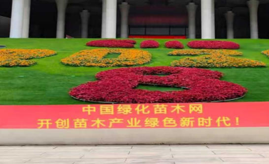 1763115374347434.jpg ScreenShot_2025-11-14_181526_826.jpg