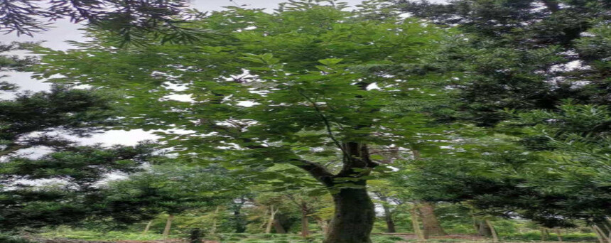 1776051187563826.jpg ScreenShot_2026-04-13_113226_595.jpg