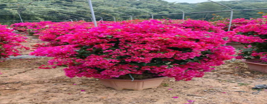 1776221775741895.jpg ScreenShot_2026-04-15_105538_806.jpg