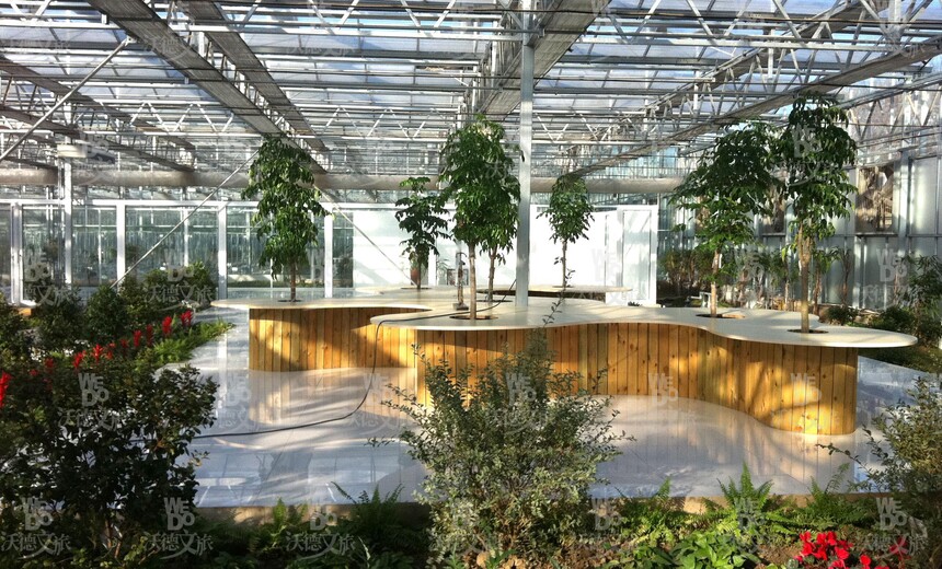 1737877100644154.jpg 图片4.jpg