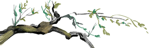 ΢ͼƬ_20250116161317.png