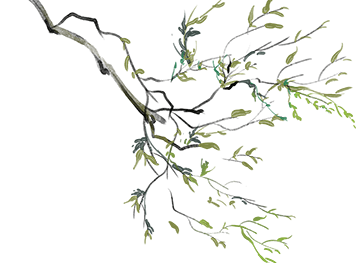 ΢ͼƬ_20250116161320.png