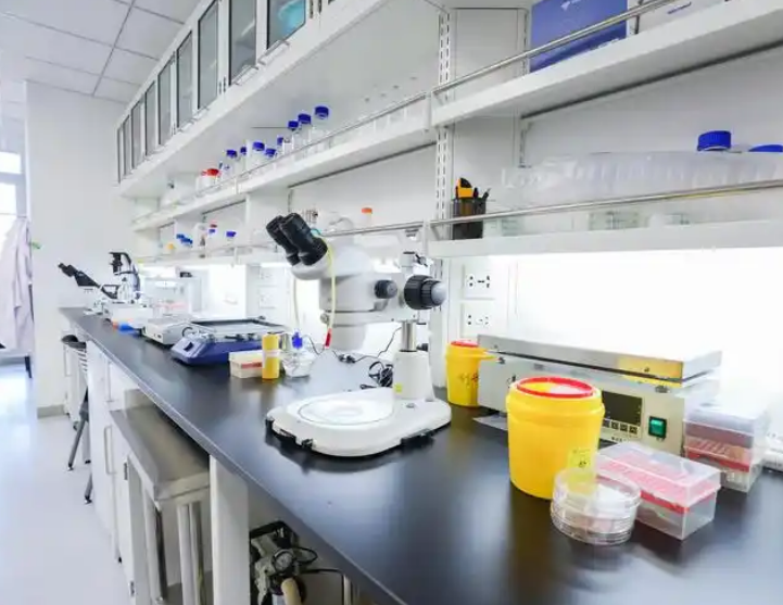 1762395773354294.png image.png