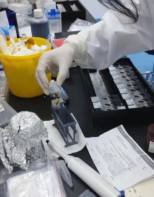 1765334972212950.png image.png