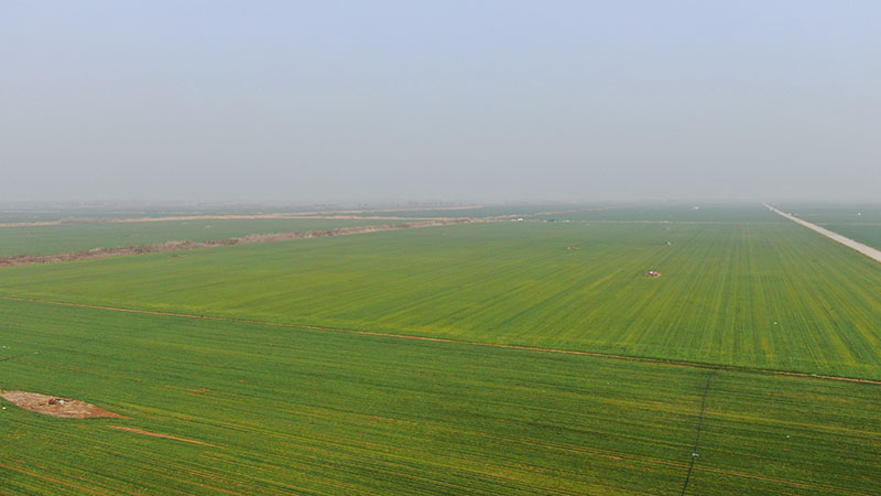 DJI_0564.JPG