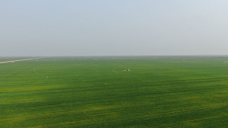 DJI_0574.JPG