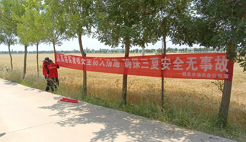 1748510722128230.png 图片13.png