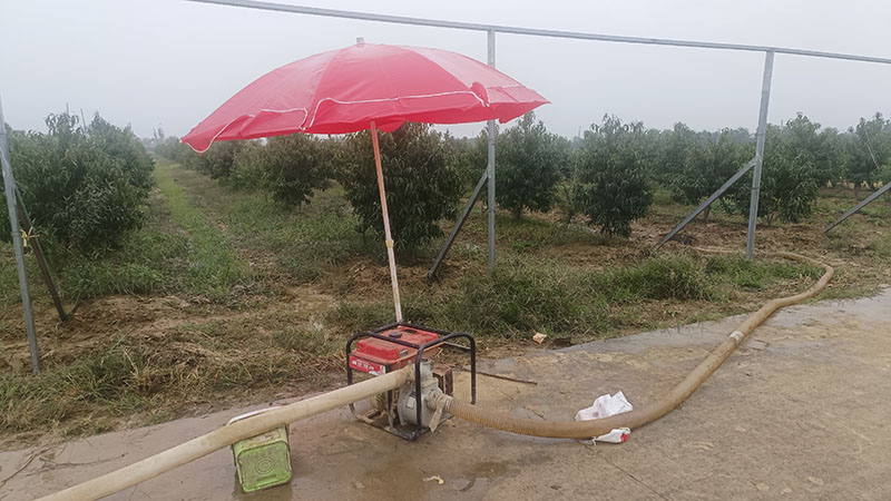 1761185765848198.jpg 91626cc4a5a0ba63aac27d82e9c351ff.jpg