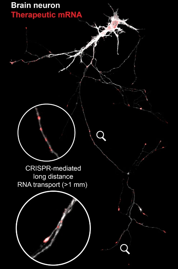 1752113058857141.png 微信截图_20250710100351.png