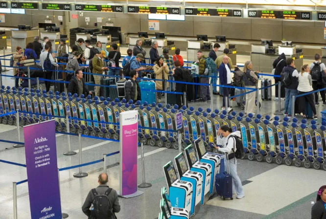 ����-�ο�