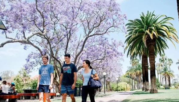 �Ĵ�������ѧ