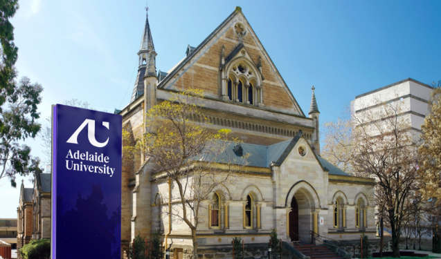 �������´�ѧ