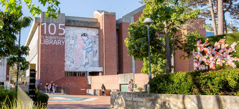 ������ѧ